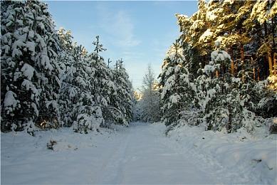 随时随地畅玩体验 Xbox串流游戏库再添11款作品